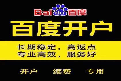 百度SEO推广公司案例解析：实战优化技巧全解读